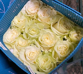 White Mondial White Rose 50 / 75 / 100 / 200 stems