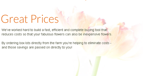 Great Prices