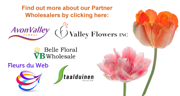 Partner Wholesalers