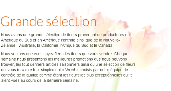 Grande sélection