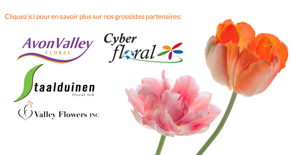 Grossistes Partenaires