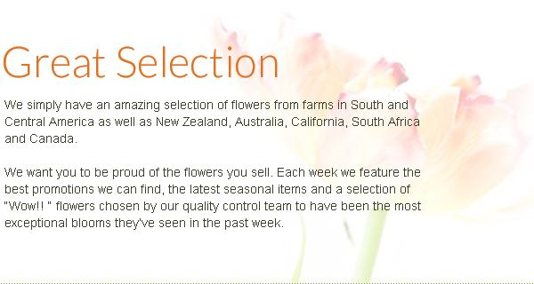 Great Selection