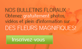 Abonnez-vous à nos bulletins floraux