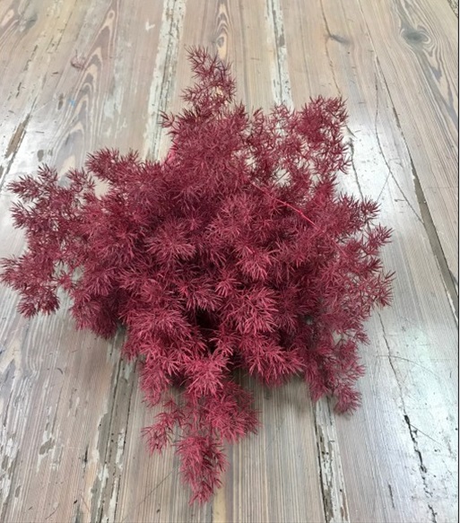 Ming Fern Painted Hot Pink - Metallics & Painted Foliages - Greens ...