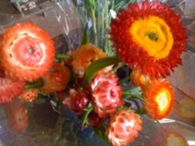 Strawflower Assorted Mix - Strawflower - Flowers and Fillers - Flowers ...