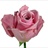 Esprit - Standard Rose - Roses - Flowers by category | Sierra Flower Finder