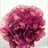 Purple Hurricane - Standard Carnation - Carnations - Flowers by ...