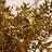 Ruscus Hard Painted and Glittered Gold - Metallics & Painted Foliages ...