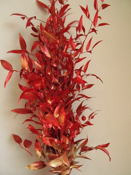 Ruscus Italian Painted Red - Metallics & Painted Foliages - Greens ...